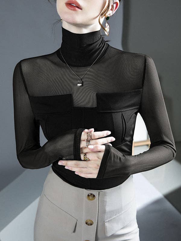 Long Sleeves Skinny Gauze See-Through High-Neck Top